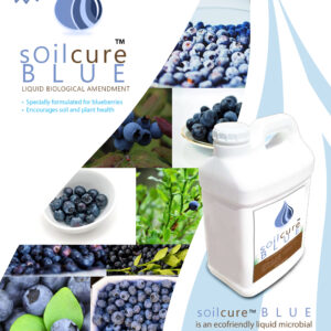 SoilCure for Blueberries 
TechSheet