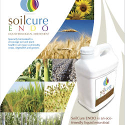 SoilCure-ENDO-Techsheet