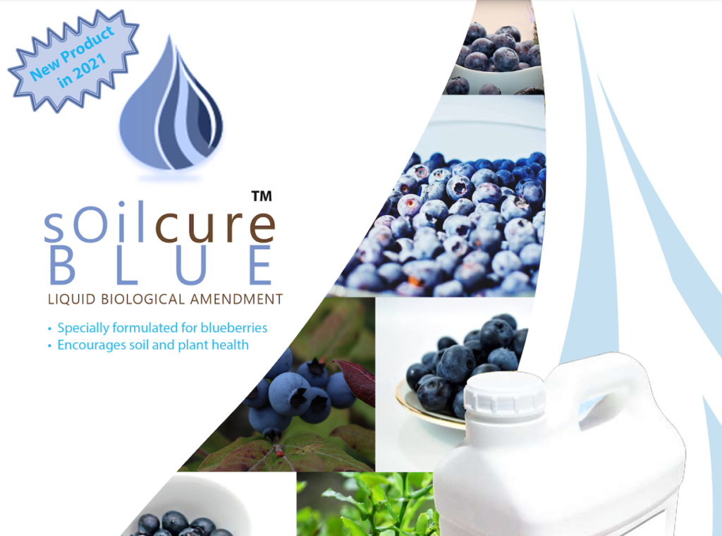 SoilCure Blue 450 px