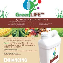GreenLIFE Brochure P1