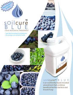 SoilCure Blue Flyer P1 Revised copy